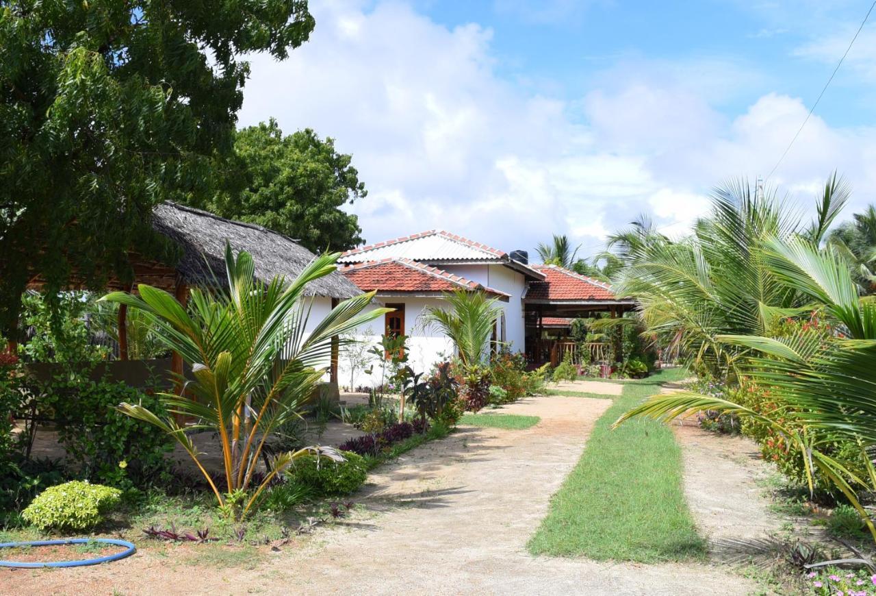Prime Surfers Bungalow Аругам Бей Екстериор снимка