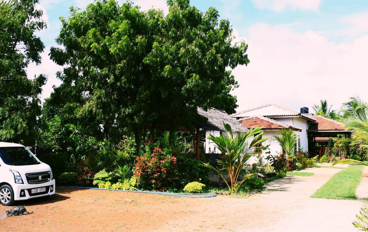 Prime Surfers Bungalow Аругам Бей Екстериор снимка