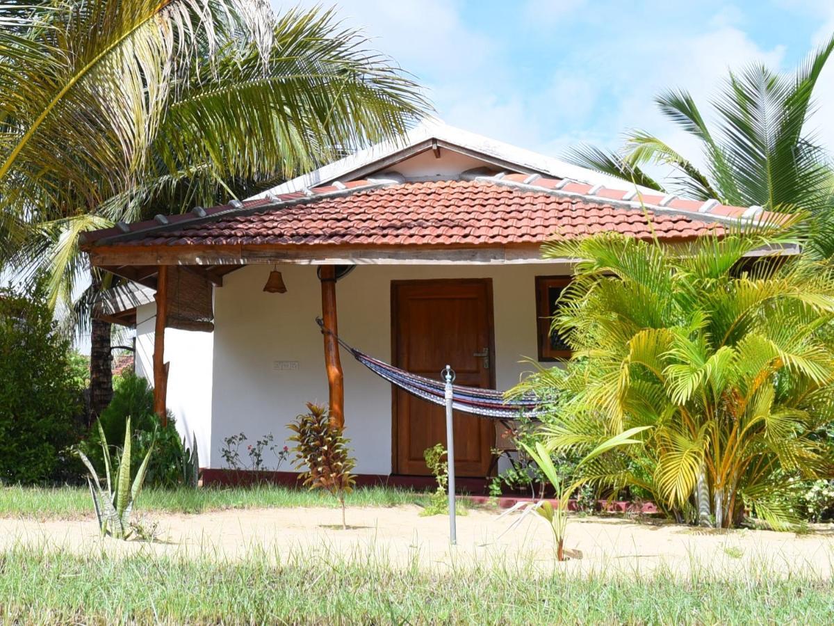 Prime Surfers Bungalow Аругам Бей Екстериор снимка